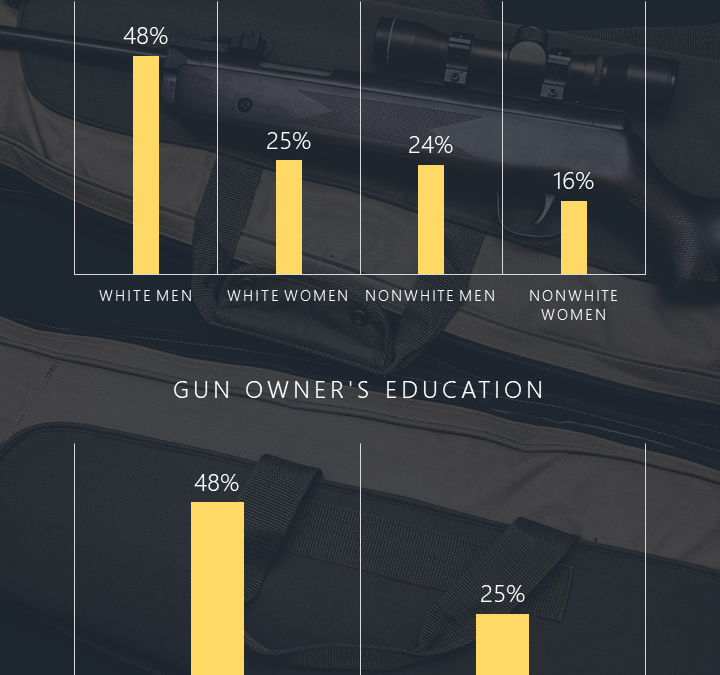 Gun Ownership Infographic – Display Data Visually