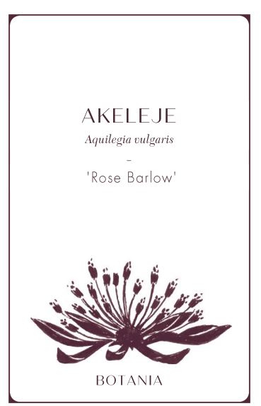 product catalog with powerpoint - flower seed labels